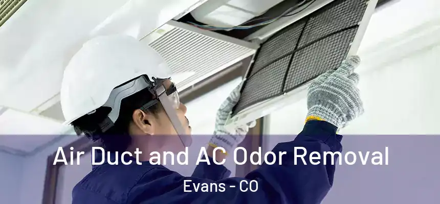  Air Duct and AC Odor Removal Evans - CO