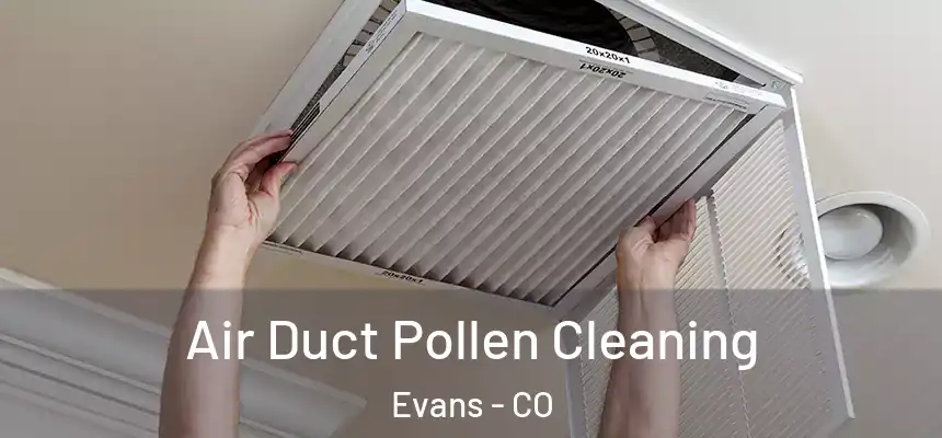  Air Duct Pollen Cleaning Evans - CO