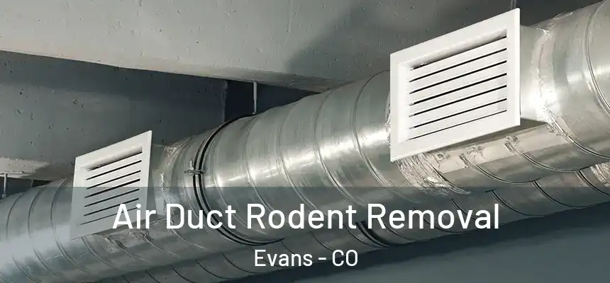  Air Duct Rodent Removal Evans - CO