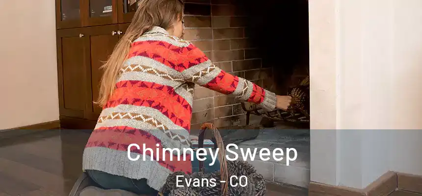 Chimney Sweep Evans - CO