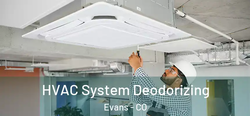  HVAC System Deodorizing Evans - CO