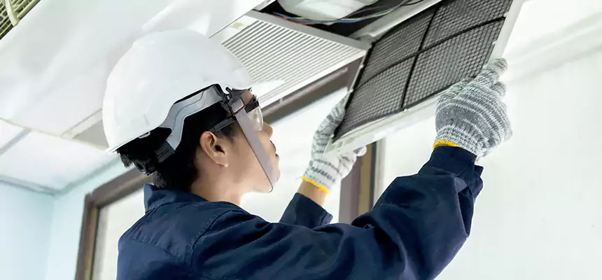 Our Mold & Mildew Removal from Air Ducts Services in Evans, CO