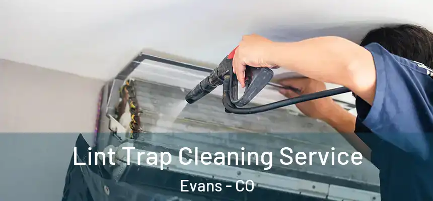  Lint Trap Cleaning Service Evans - CO