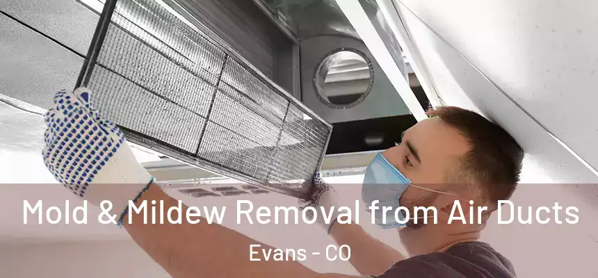 Mold & Mildew Removal from Air Ducts Evans - CO