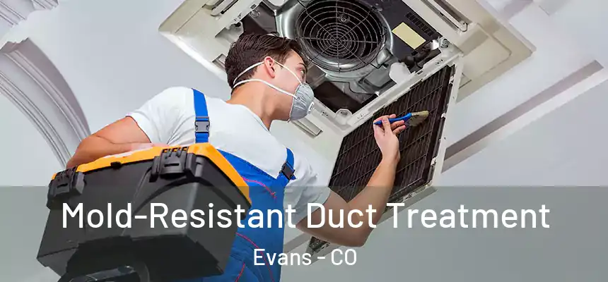  Mold-Resistant Duct Treatment Evans - CO