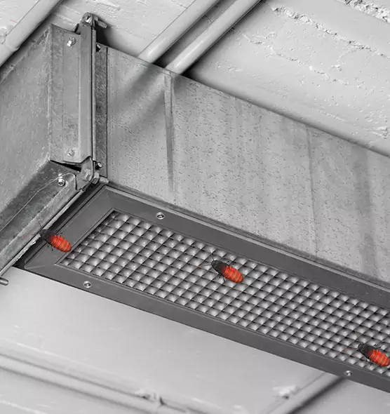 About Air Duct Cockroach Removal in Evans, CO