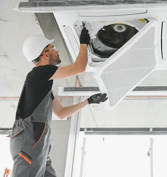 About Air Duct Rodent Removal in Evans, CO