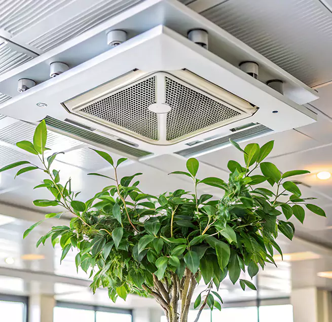 Why Homeowners & Businesses Trust Us in Evans, CO