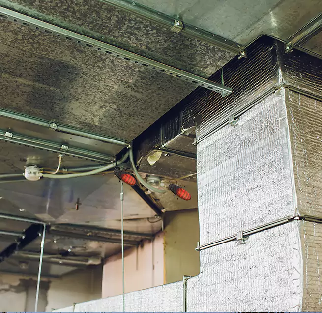 Why Homeowners & Businesses Trust Us Evans, CO?