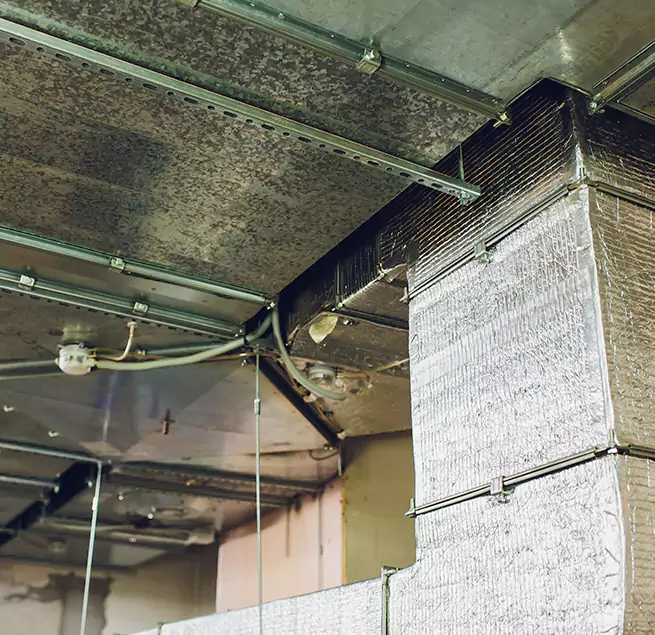 Why Homeowners & Businesses Trust Us in Evans, CO?