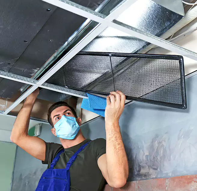 Why Homeowners Businesses Trust Us in Evans, CO